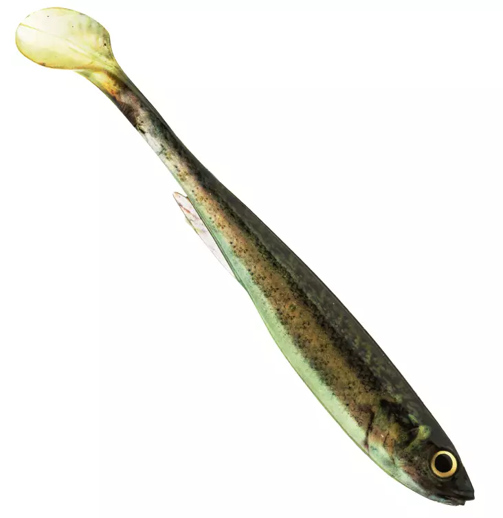 Daiwa Prorex Slim Shady 16cm Live - Klassische Weichköder - 173020253 - 1