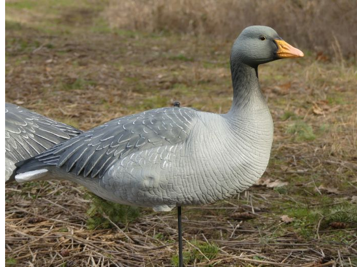 Final Approach Fullbody Evac Greylag - Lockvögel - B190700018903 - 1