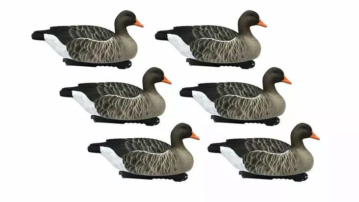 Final Approach Greylag Goose Floaters 6pcs - Lockvögel - 728614276603 - 1