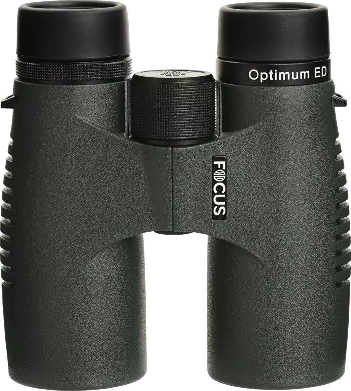 Focus Optimum 8x42 ED - Traditionelle Ferngläser - 7391879053253 - 1