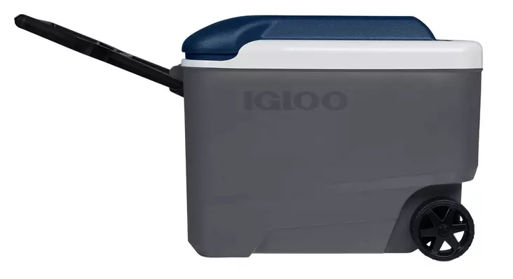 Igloo Maxcold R 38l Cooler Dark Gray - Kühlboxen - 0034223350253 - 1