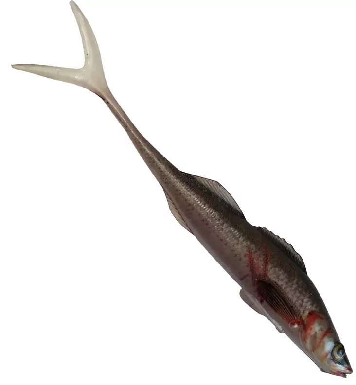 Jakki Kuha Aitokala Jigi 15cm - Klassische Weichköder - 22120251773 - 1