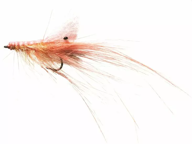 Pattegris Pink - Garnelen - 5707549240533 - 1