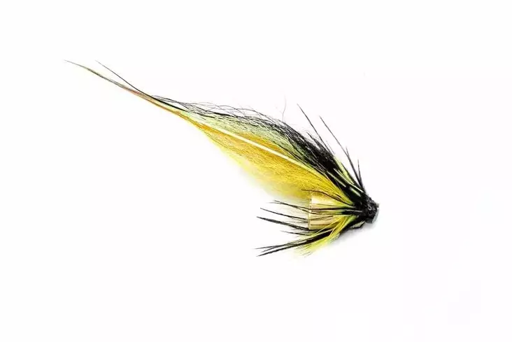 Pikku-Black Highlander Gold Brass 1/4" - Tube Fliegen - 8859202538543 - 1