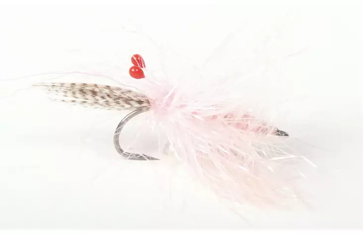 Pink Alive Reke - Garnelen - 7033840121553 - 1