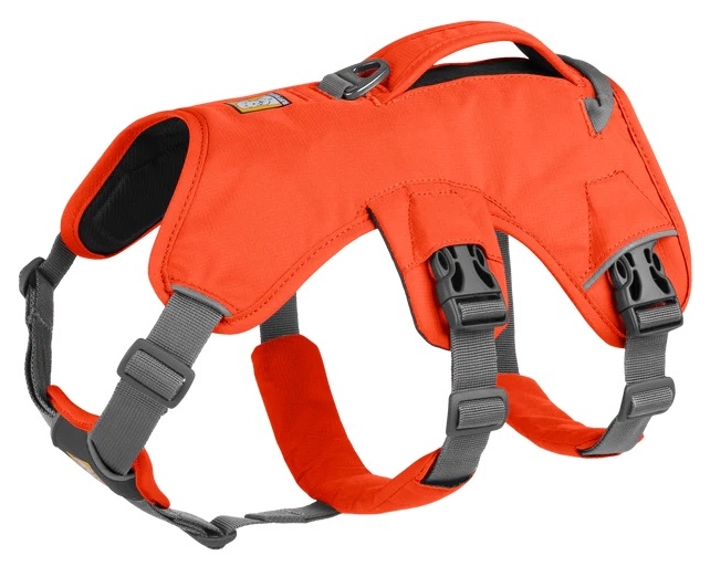 Ruffwear Web Master Harness Blaze Orange - Hundegeschirr - 748960736613 - 1
