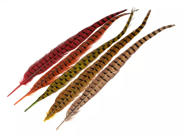 Wapsi Ringneck Tail Feathers - Schwänze - 404503000033 - 1
