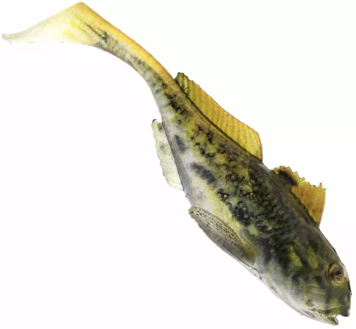 Westin Gunnar The Goby 6,5cm 3,5g 3pcs - Klassische Weichköder - 1730013 - 1