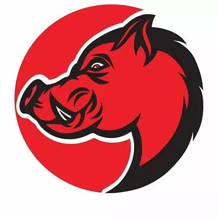 BlackFire Terva 0,5kg - Lockmittel - 715235047224 - 2