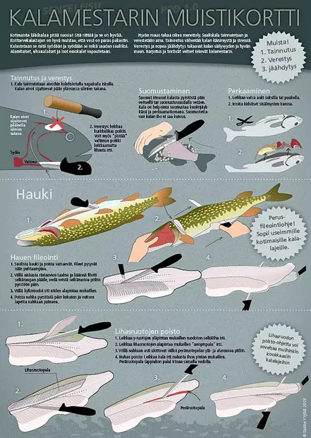 Sakke Yrjölä Kalamestarin Muistikortti A4-kortti - Drucksachen - 6430048500714 - 1