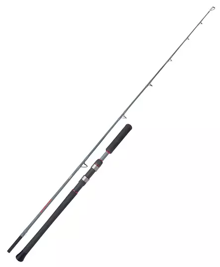 Shimano Forcemaster AX Catfish Vertica 185cm 200g Spinning 1+1pc - Meeresruten für das Tiefseeangeln - 8717009884914 - 1
