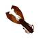 Gunki Boogie Craw 75 - Krebs- und Insektenimitate - 17300300804 - 2