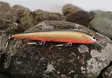 Karikko Vaappu 15cm - Wobbler über 10 cm - 24022024 - 5