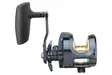 Daiwa 24 Saltiga 15 - Meerfischerei- und Schlepprollen - 043178187234 - 2