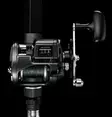 Daiwa Accudepth 40LC - Meerfischerei- und Schlepprollen - 043178922934 - 2