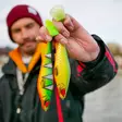 Pike shad 24cm 112g - Weichköder für Hechte über 100g - 2510202214 - 14