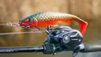 Pike shad 24cm 112g - Weichköder für Hechte über 100g - 2510202214 - 15