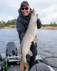 Pike shad 24cm 112g - Weichköder für Hechte über 100g - 2510202214 - 16