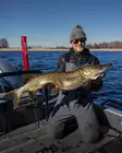 Pike shad 24cm 112g - Weichköder für Hechte über 100g - 2510202214 - 18