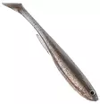Daiwa Prorex Slim Shady 16cm - Klassische Weichköder - 173020254 - 2