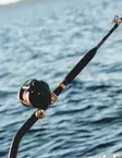 Daiwa Tanacom X 66XXHST - Meeresruten für das Tiefseeangeln - 5055545247774 - 2