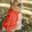 Finnero Sport Softshell - Hundewesten und -kleidung - 6438406009244 - 5