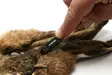 Hareline Ceramic Zirgonia Dubbing Rake - Dubbinngtwister und -bürsten - 762820208614 - 5