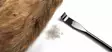 Hareline Ceramic Zirgonia Dubbing Rake - Dubbinngtwister und -bürsten - 762820208614 - 8