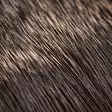 Hareline Comparadun Deer Hair - Körperhaare - 7628200124444 - 2