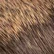 Hareline Comparadun Deer Hair - Körperhaare - 7628200124444 - 3