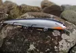Karikko Vaappu 18cm - Wobbler über 10 cm - 26022024 - 2