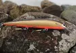 Karikko Vaappu 18cm - Wobbler über 10 cm - 26022024 - 3