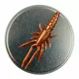 Microbite Decapod 5cm - Kreatur-Weichköder - 34003000054 - 1