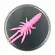 Microbite Decapod 5cm - Kreatur-Weichköder - 34003000054 - 2