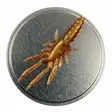 Microbite Decapod 5cm - Kreatur-Weichköder - 34003000054 - 5