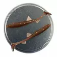 Microbite Osmerus 6,8cm 5kpl - Klassische Weichköder - 34003000044 - 18