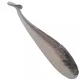 Mikado M-Craft Baby Shad 75mm - Klassische Weichköder - 3400301734 - 6