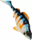Mikado MFT Perch 25cm - Weichköder für Hechte über 100g - 2604202354 - 1
