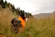 Non-stop Dogwear Protector Suit M Orange/Black - Hundewesten und -kleidung - 7071652045384 - 5