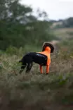 Non-stop Dogwear Protector Suit M Orange/Black - Hundewesten und -kleidung - 7071652045384 - 4