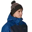 Patagonia Powder Town Beanie Park Stripe: Marlow Brown - Mützen - 198077389194 - 2