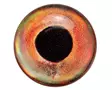 Sybai 3D Epoxy Fish Eyes 8mm -tarrasilmät - 3D-Augen - 402004000094 - 6