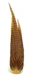 Veniard Cock Pheasant Complete Tail - Schwänze - 5056304604272 - 1