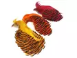 Golden Pheasant Complete Head 1st Qualit - Häute, Flügel und Köpfe - 404001000024 - 1