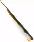 Westin TwinTeez V-Tail 15cm - Weichköder für das Vertikalangeln - 1734054 - 3