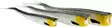 Westin TwinTeez V-Tail 15cm - Weichköder für das Vertikalangeln - 1734054 - 1