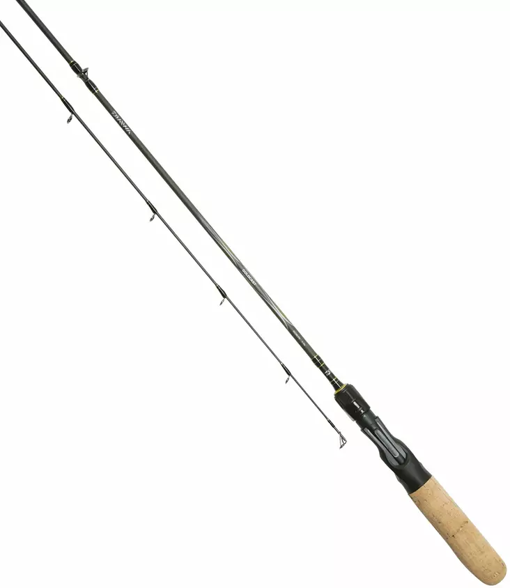 Daiwa Goldcast 602MB 10-30g - Daiwa-Baitcastruten - 5055545203084 - 1