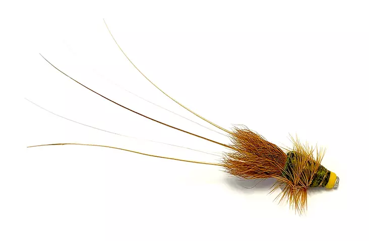 Olive Frances Tungsten Tube - Tube Fliegen - 8859202536334 - 1