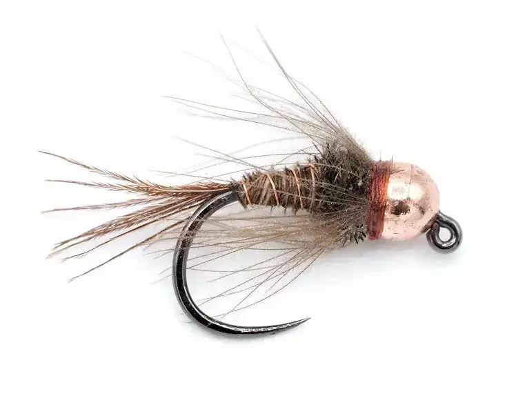 Pheasant Tail Flashback CDC Jig - Nassfliegen - 0642981014 - 1