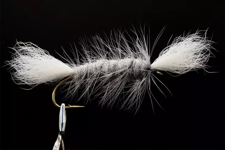 Pompero Olive Salmon Dry Fly - Andere Fliegen - 8859202530004 - 1